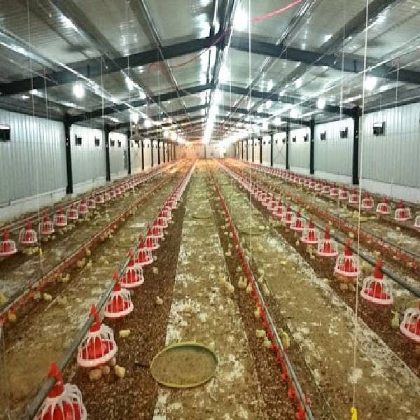 Thermal air bubble insulation for Poultry Farms