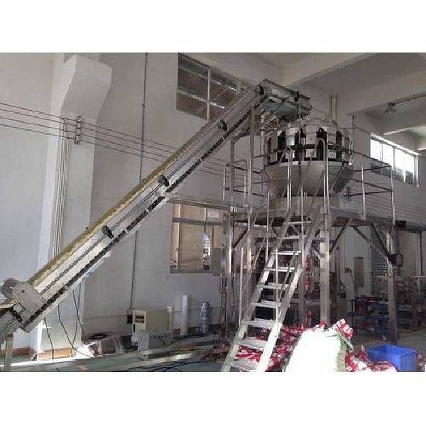 Stainless Steel Multihead 10 Weigher Packing Machine