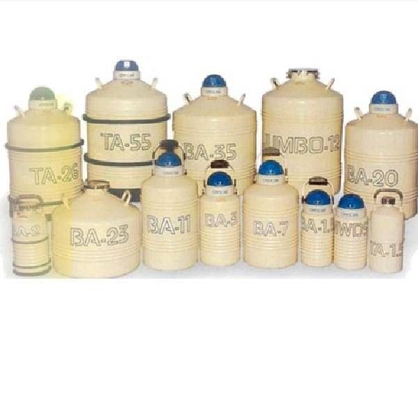 Liquid Nitrogen Gas Container