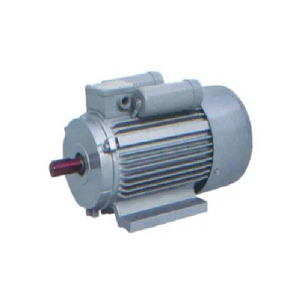 Electric Motor