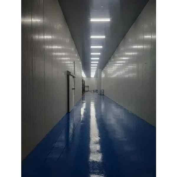 Ammonia Cold Storage Rooms