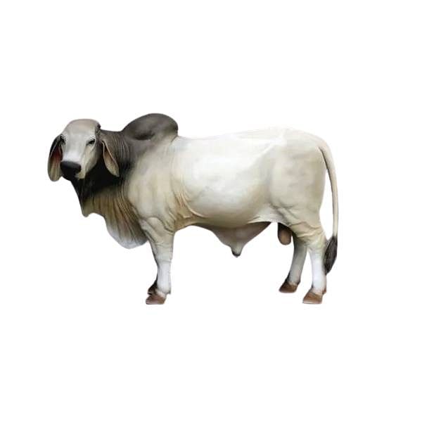 Bullcow Statue