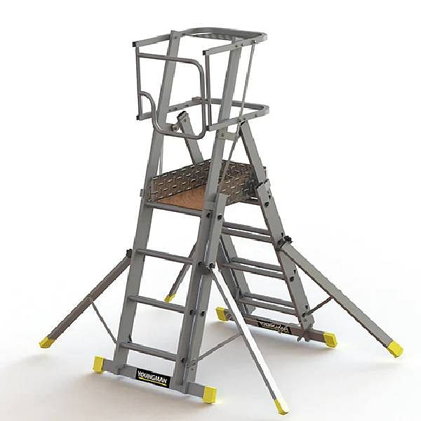 Teleguard Telescopic Ladders