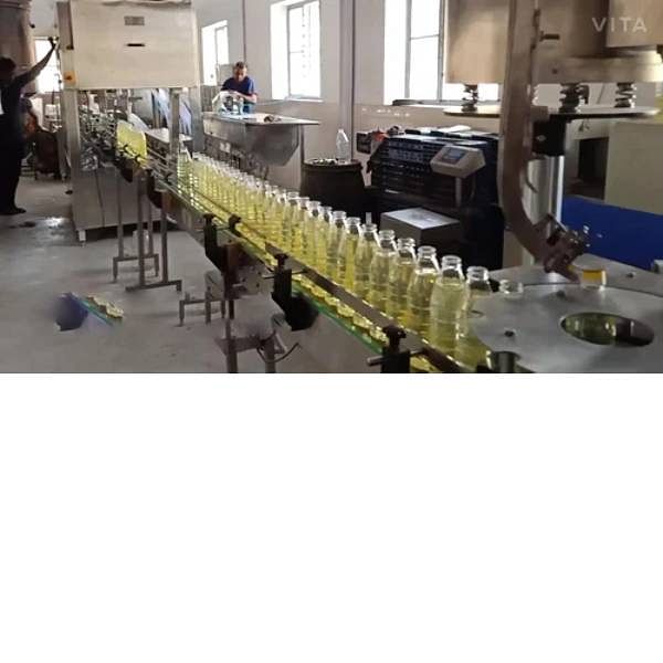 Automatic Edible Oil Packing Machine