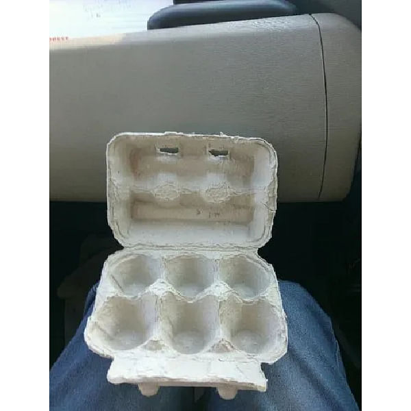 Egg Packing Boxes