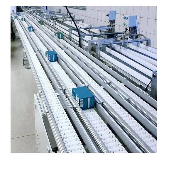 Flat Top Chain Conveyor