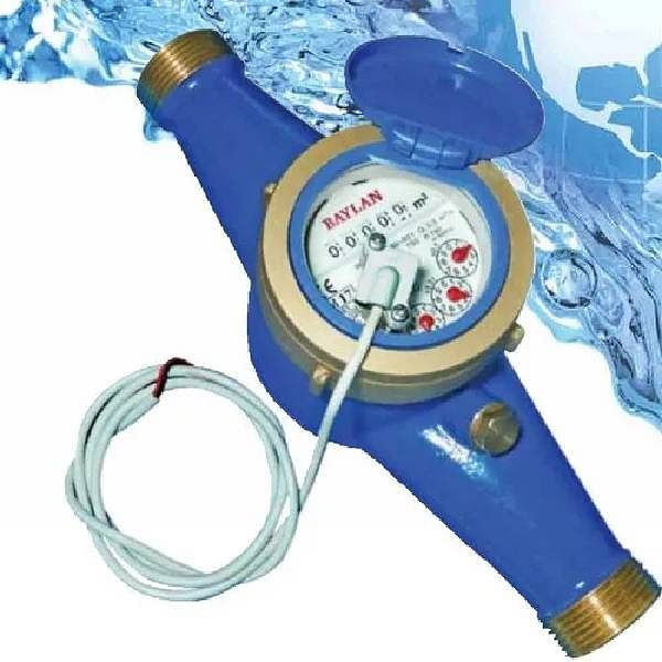 Baylan Reed Switch Water Flow Meter