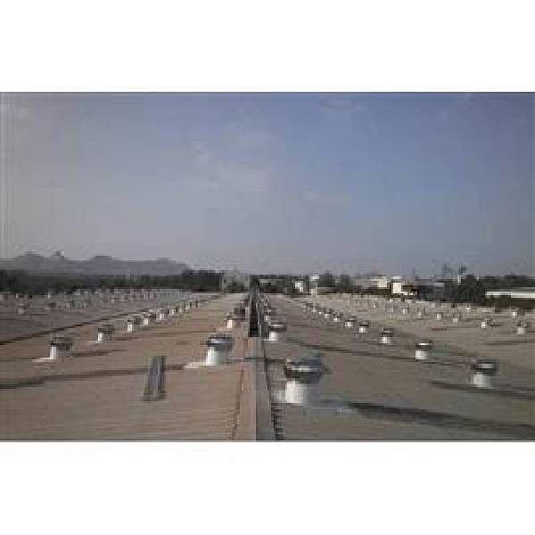 SS Roof Ventilator