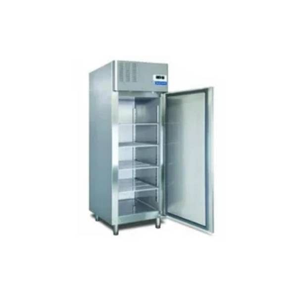 Blue Star Reachin Freezer RF 2D 700GC