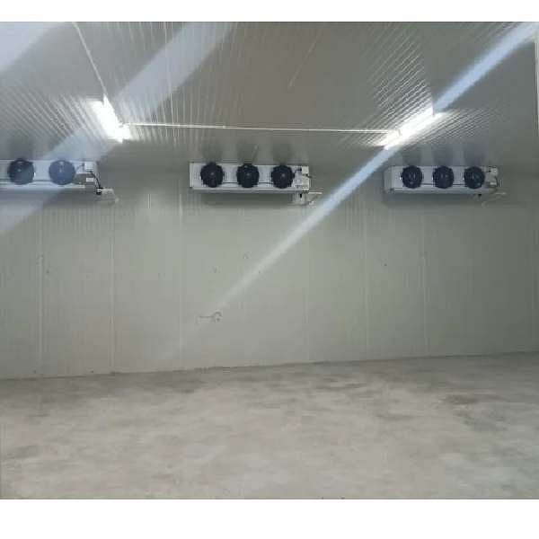 Fish Cold Storage Room