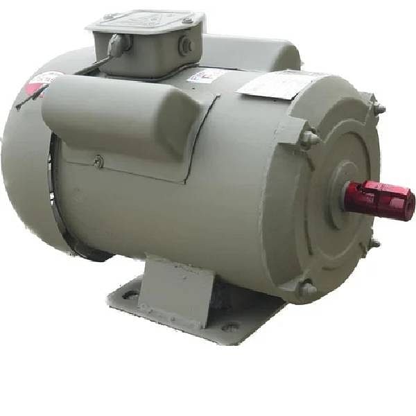 2 HP Single Phase Electric Motor