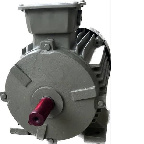 2 HP Three Phase Electric Motor