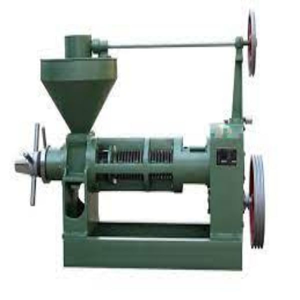 Commercial Screw Oil Press