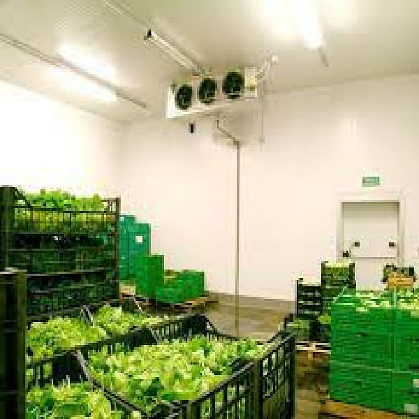 Vegetable Cold Storage