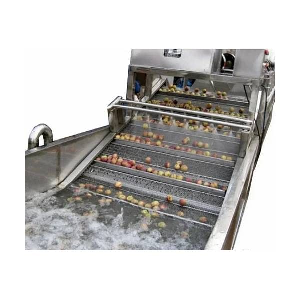 Semi Automatic Fruit Washing Plant