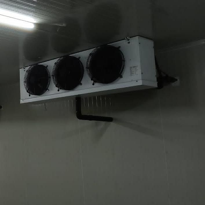 Cold Room/Cold Storage