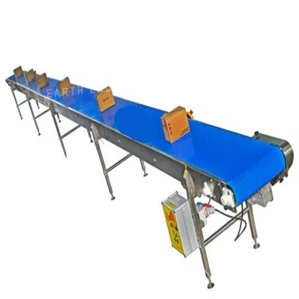 Conveyor System For Carton Box