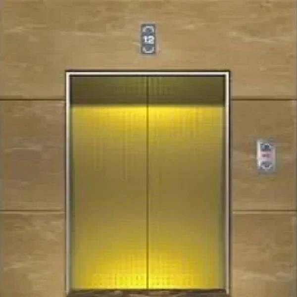 Aluminium Center opening Goods Lift Door, Steel Swing