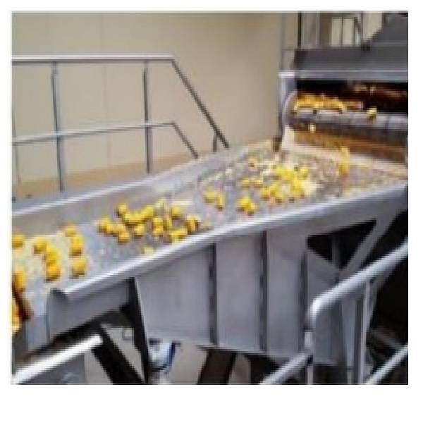 Vibratory Ginger Sorting Nta-503