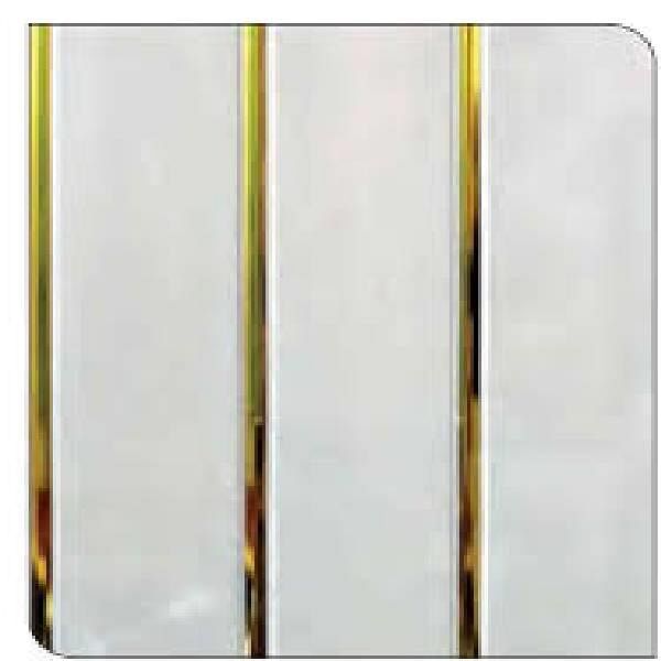 Pvc wall / ceiling panel