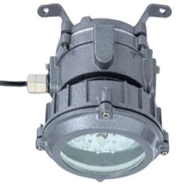 40 Watt LED Well Glass Flameproof / Weatherproof Light Fitting Cat Ref. FWL1318 40 CDL M