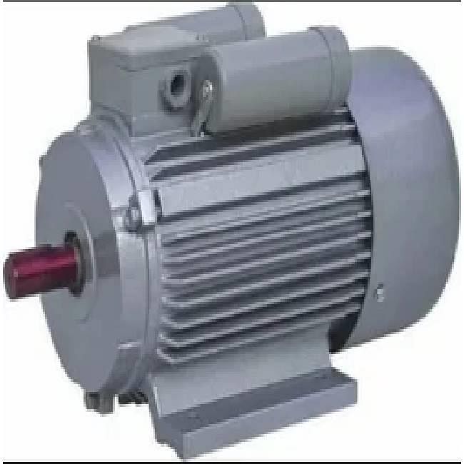 Single Phase Electric Motor