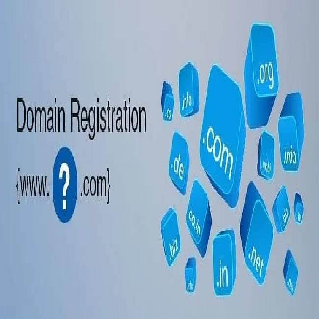 Domain Reg