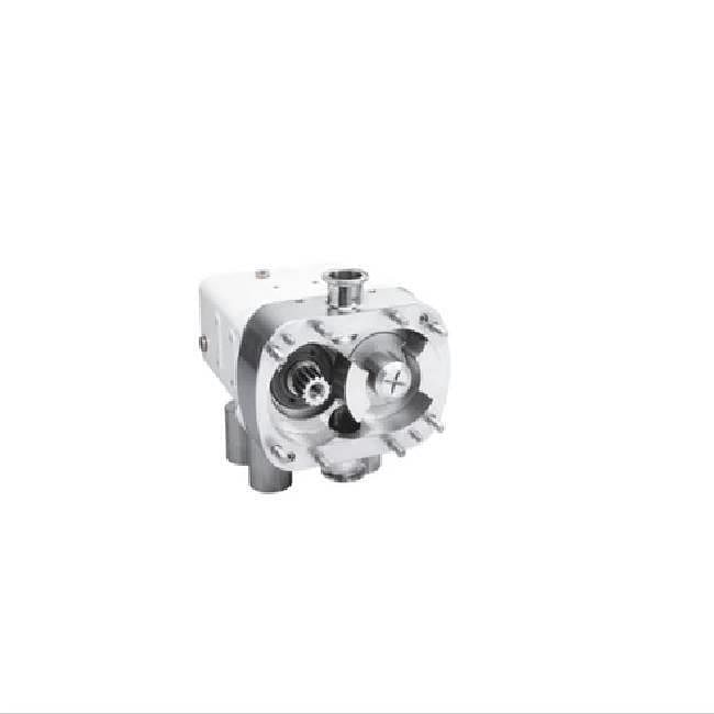 Circumferential Piston Pumps