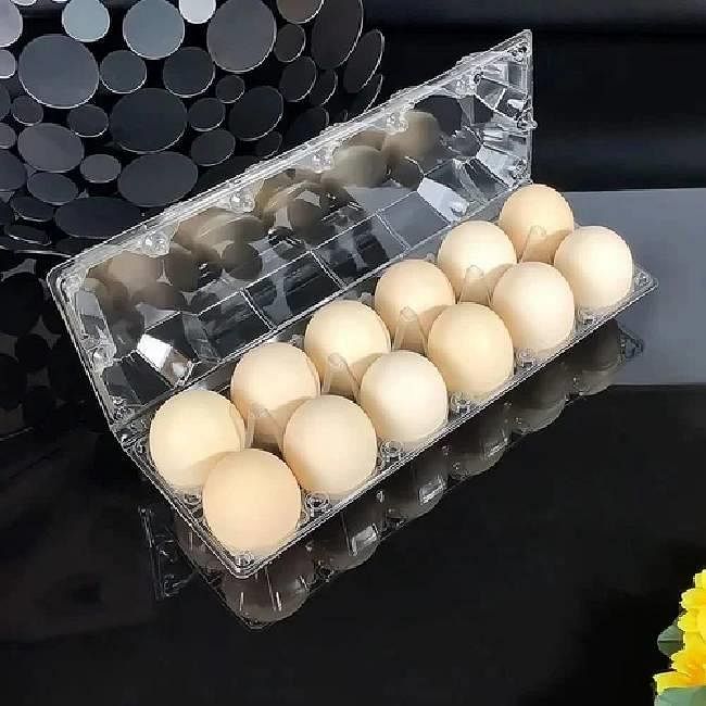 EGG TRAY