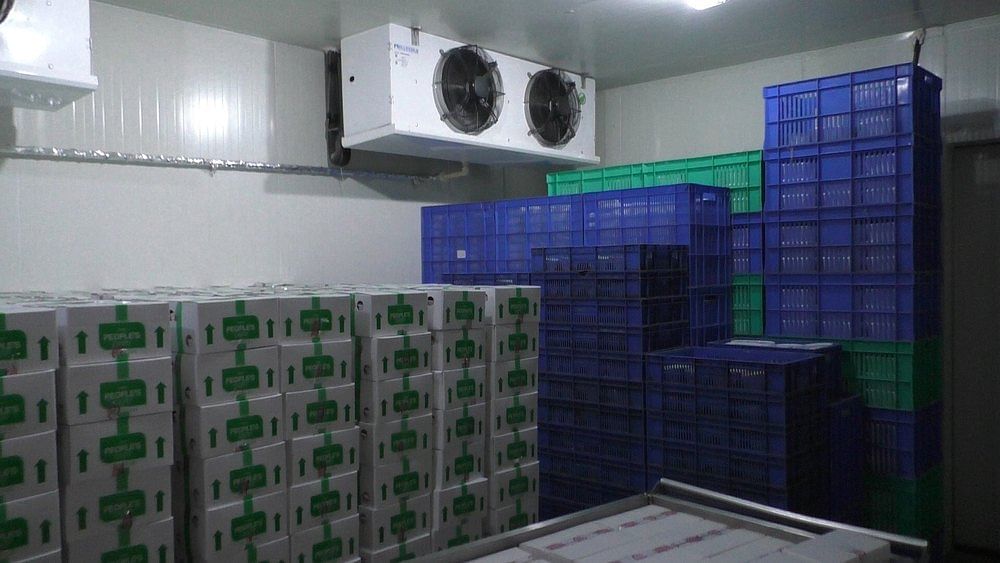 3000 Ice Cream Storage Cold Room