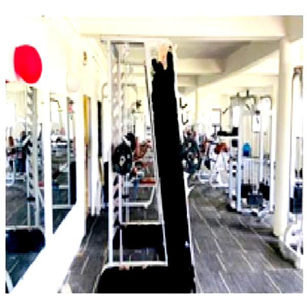 Smith Machine & Fitness Squat Stand