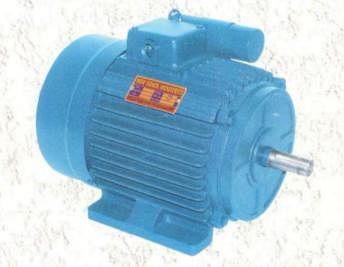 AC Electric Motor