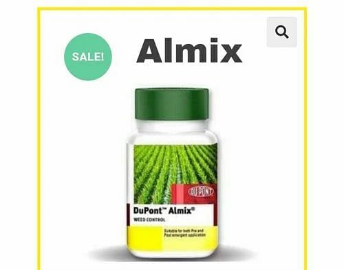 Almix Dupont