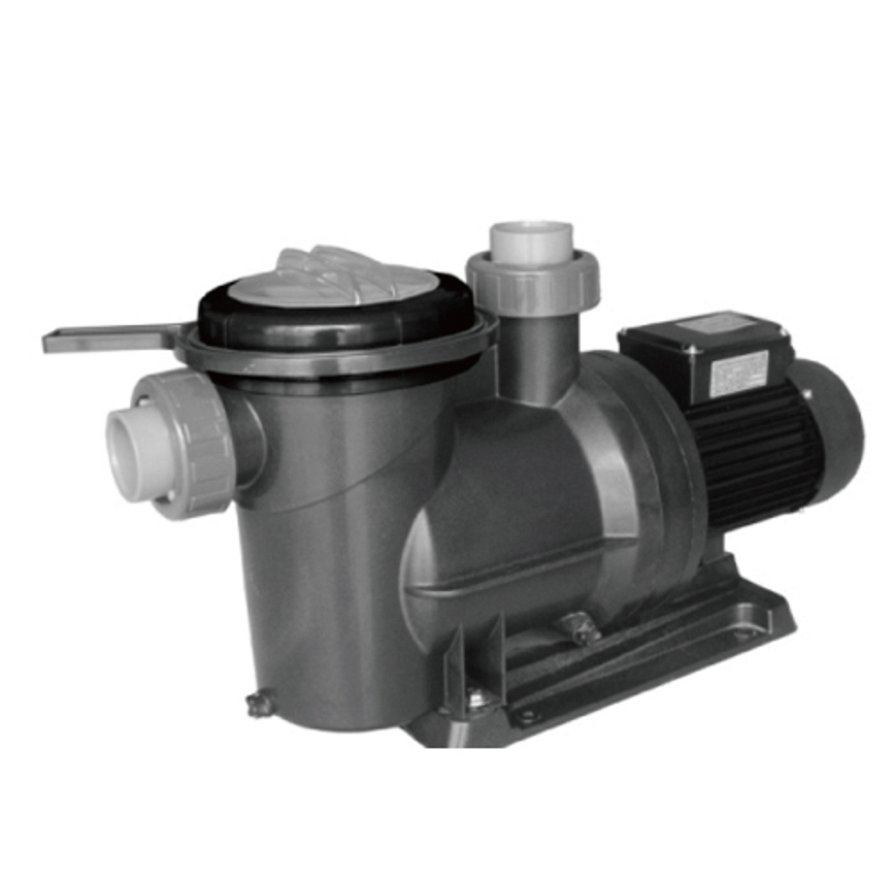 Aqualux plastic & cast iron AQL10D01 Marathon Pump, For commercial & pool heating