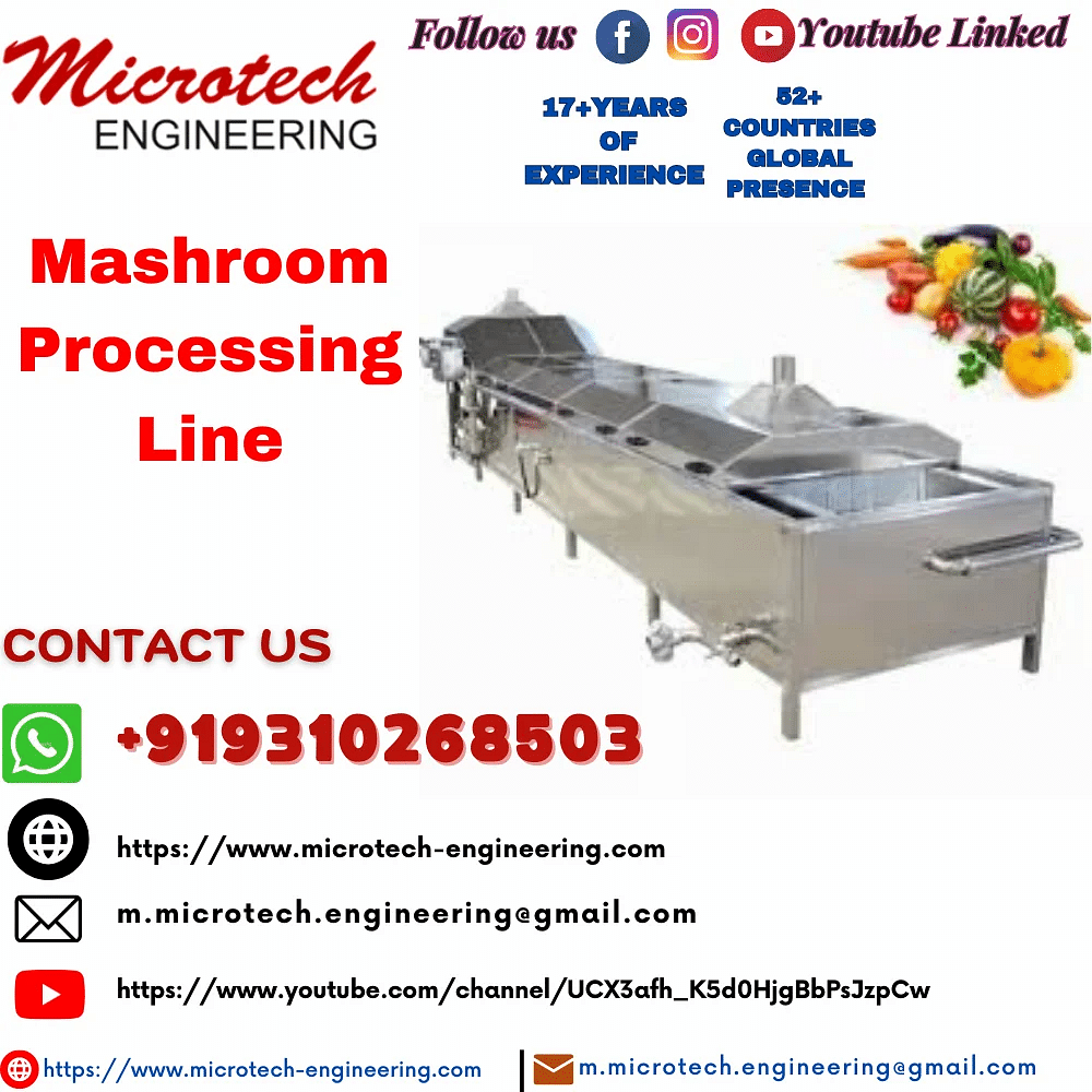 Automatic Mashroom,fruits and vegetables Mashroom Processing Line, Model Name/Number: Mpl, Capacity: 500kg To 10 Ton Per Hour