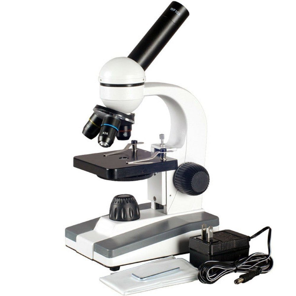 Bhagwati 100X Student Compound Microscope, For Lab Usage, Model Name/Number: BLTE-1558