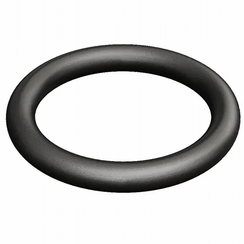 Black Viton Rubber, Packaging Type: Packet