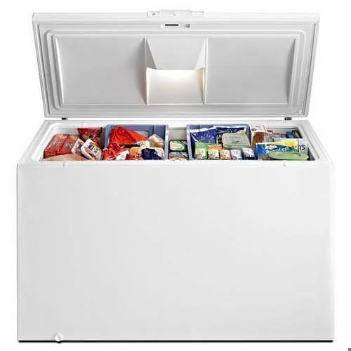 BLUE STAR Hard Top Chest Freezer, Capacity: 405 L