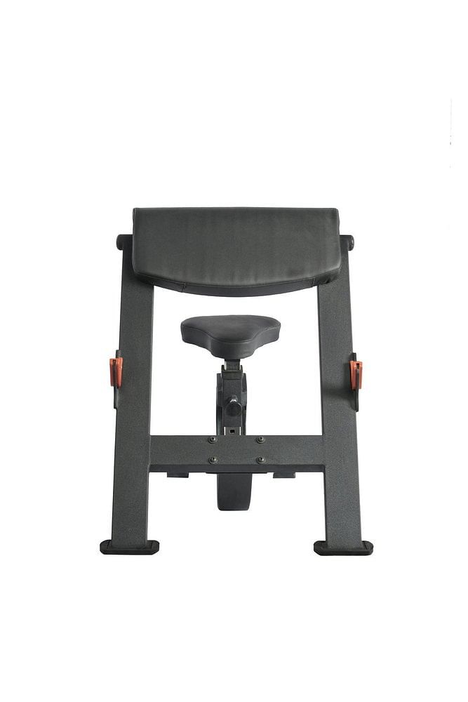 Bodytec D08 - Peacher Bench, For Gym