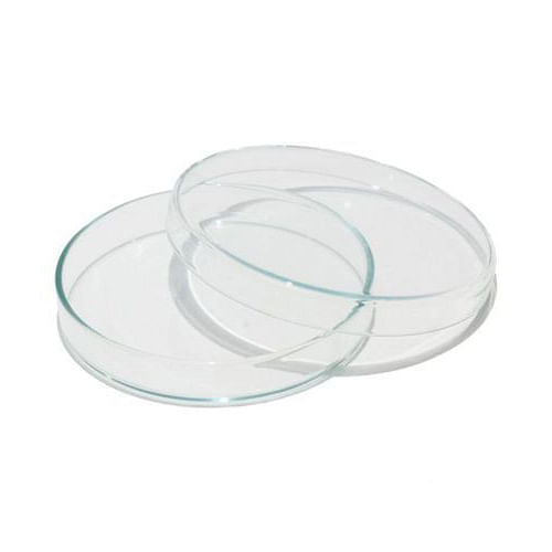 Borosilicate Petri Dish Glass