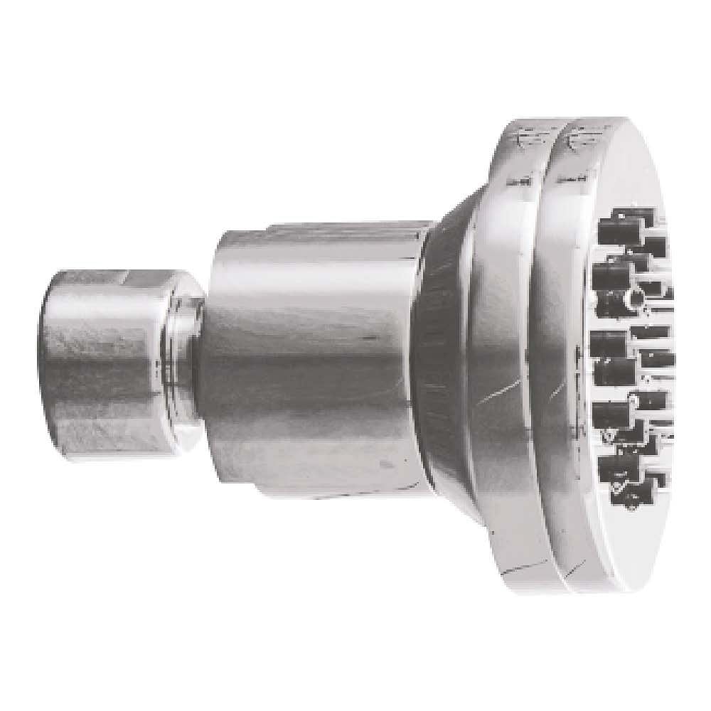 Brass Shower Head, Dimension/Size: 60 mm