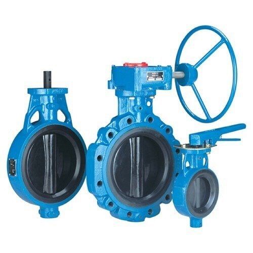 C I Butterfly Valves