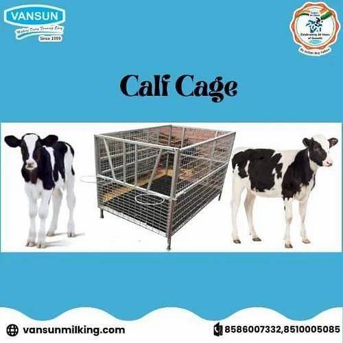 Carbon Steel,SS Silver Dairy Calf Cages