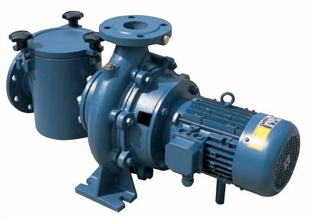 Cast Iron Blue 6 HP Swimming Pool Pumps