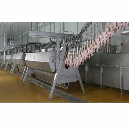 Chicken Defeathering Conveyor