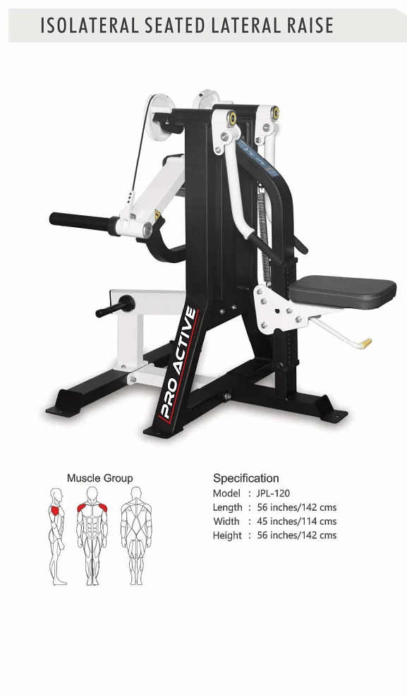 Commercial Fitness Standing Lateral Raise Hammer, Weight: 150KG, Model Name/Number: Pflrh