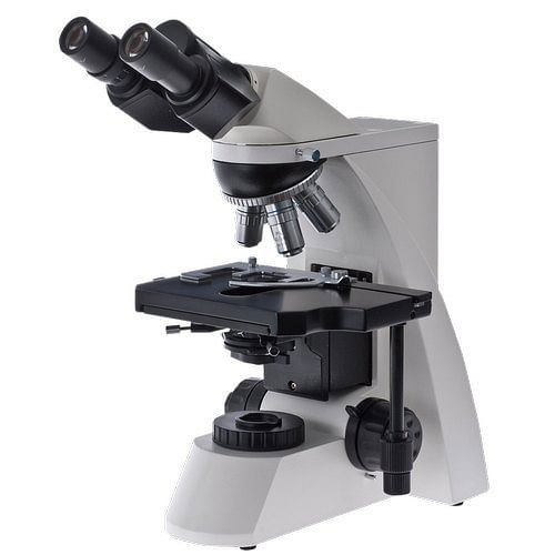 Compound Microscope