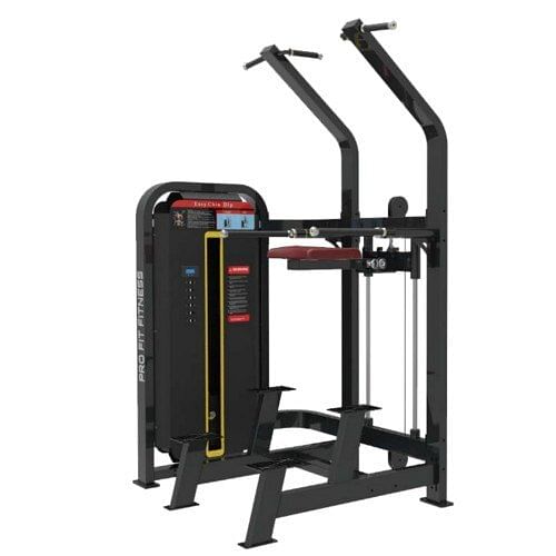 Dual Station Upper Limbs, For Gym