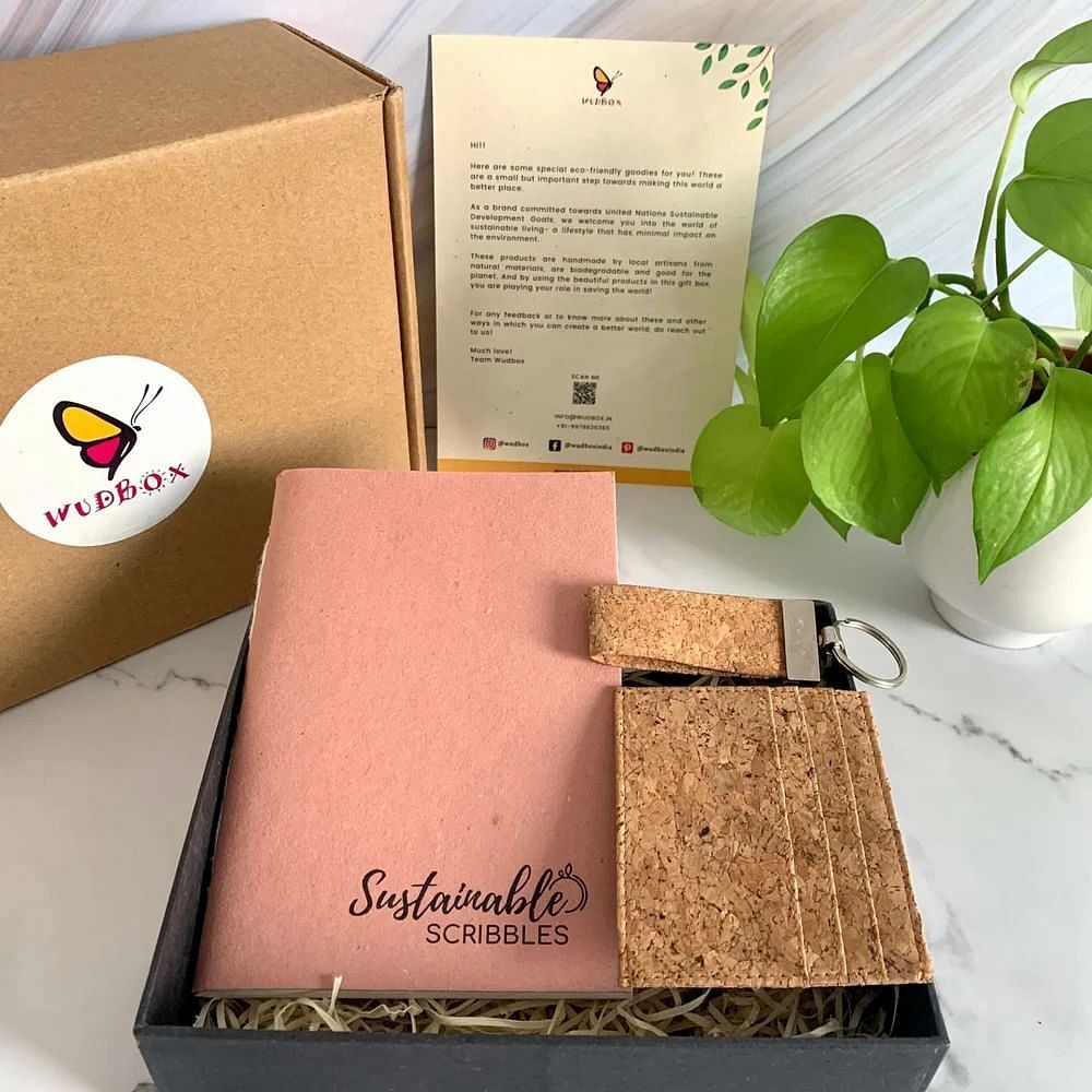 Eco Friendly Conscious Living Gift Box