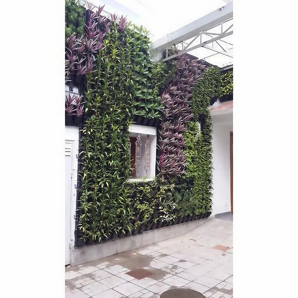 Eco-friendly Vertical Green Wall, For Decoration